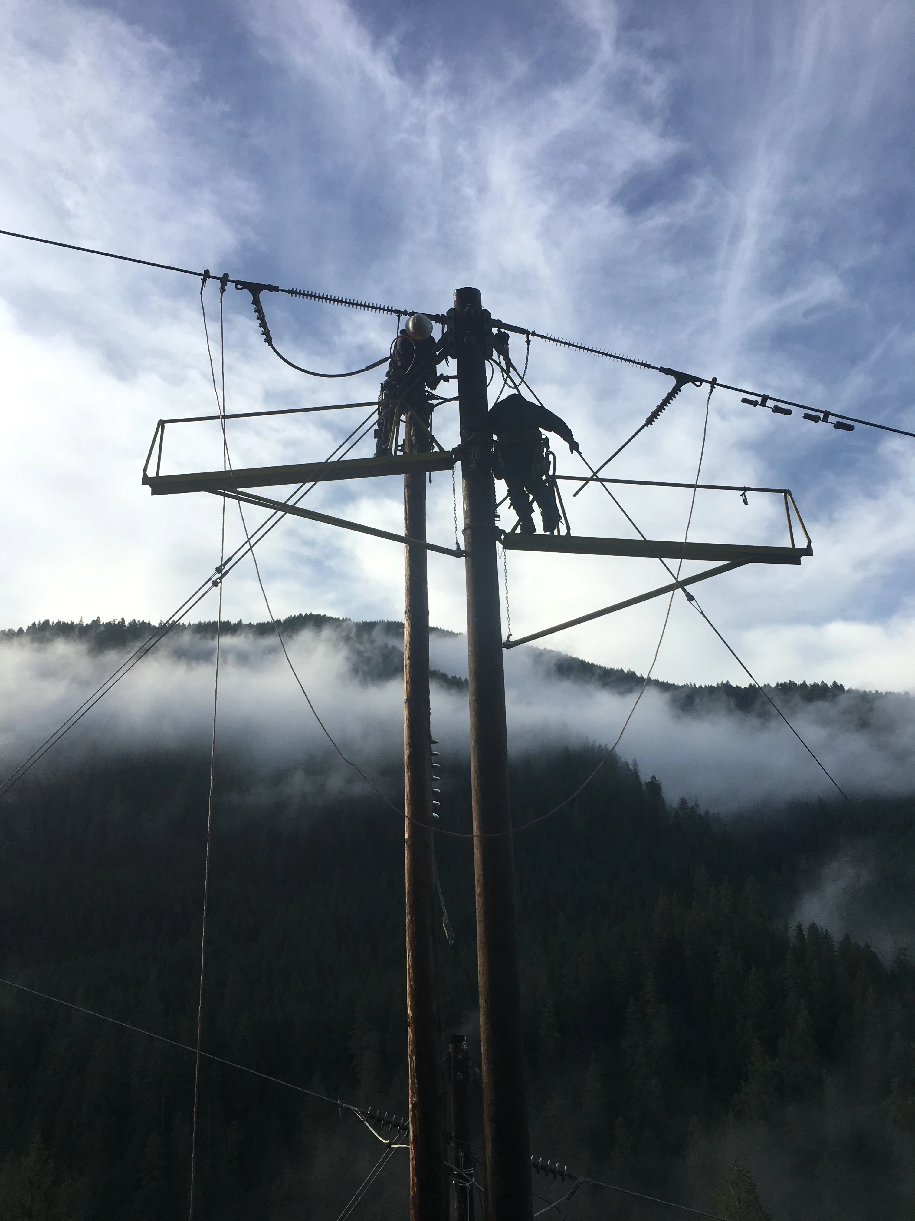 ARCHIE CREEK FIRE RESTORATION