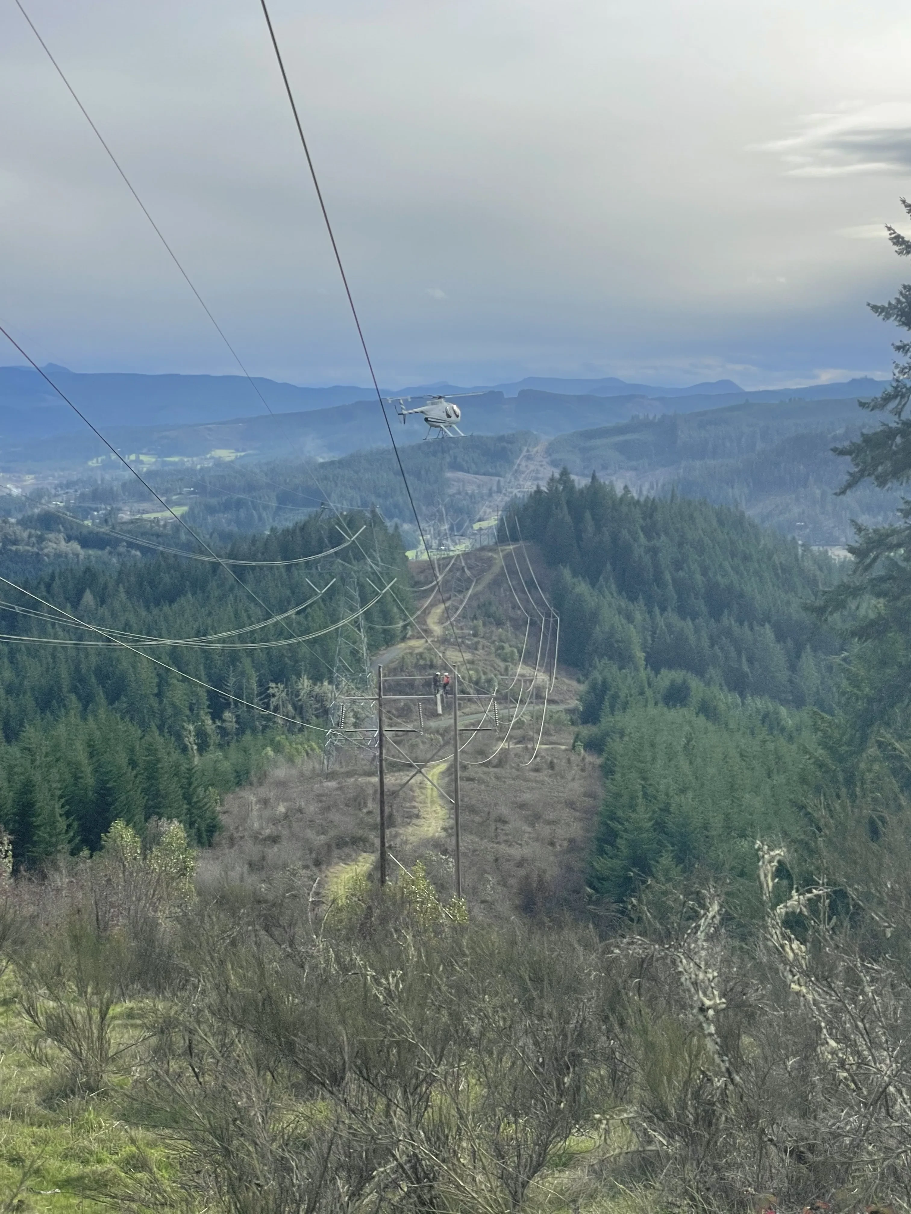 TRANSMISSION & DISTRIBUTION